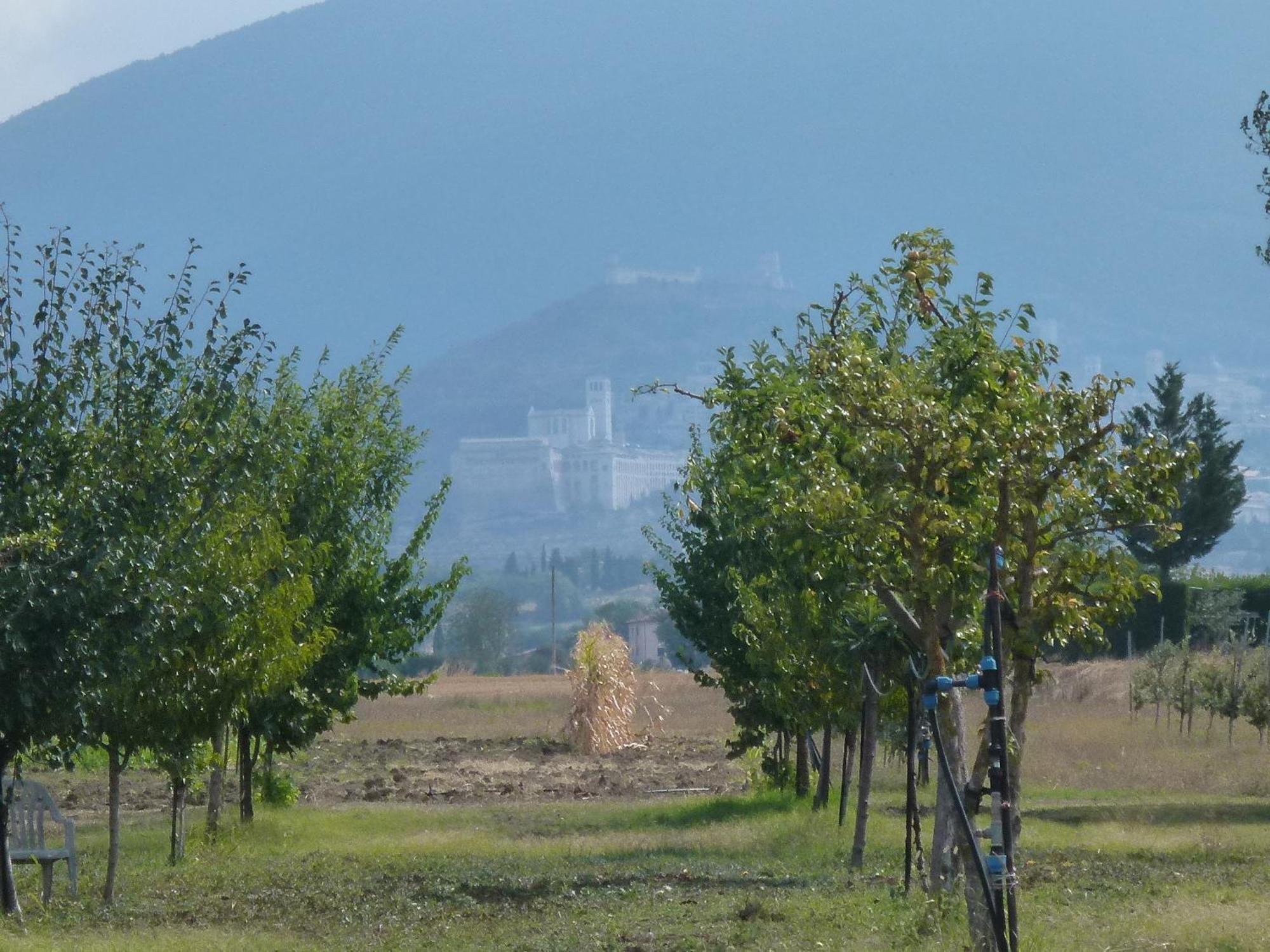 Campiglione Hotel Asyż Zewnętrze zdjęcie